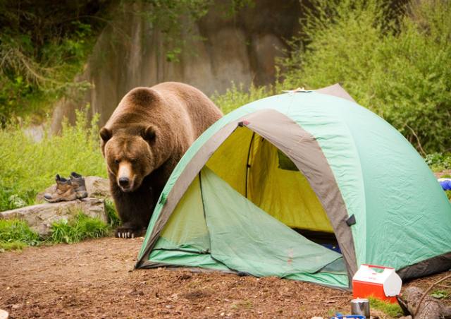 Camping Safety: Tips for a Secure Outdoor Adventure