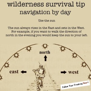 The Essential Guide to Survival Navigation