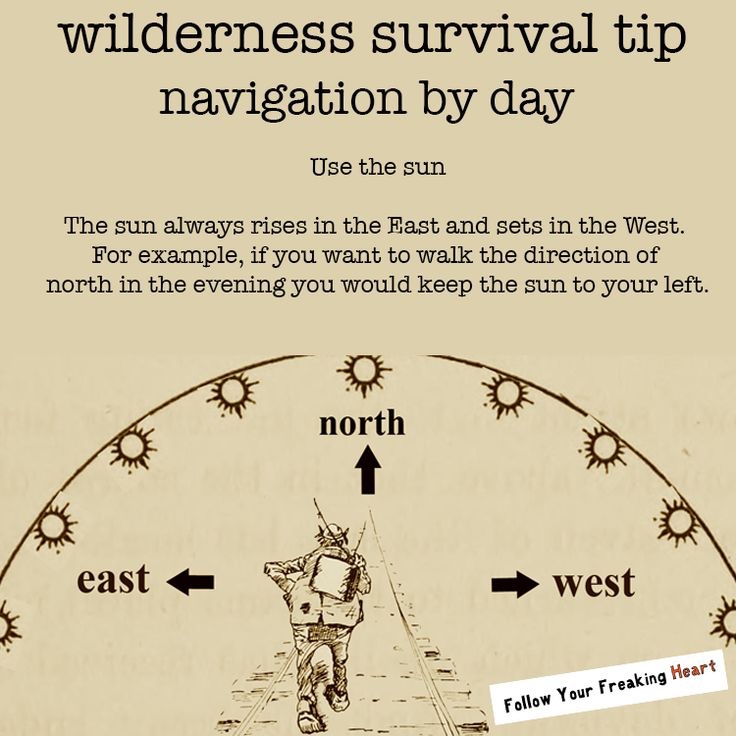 The Essential Guide to Survival Navigation