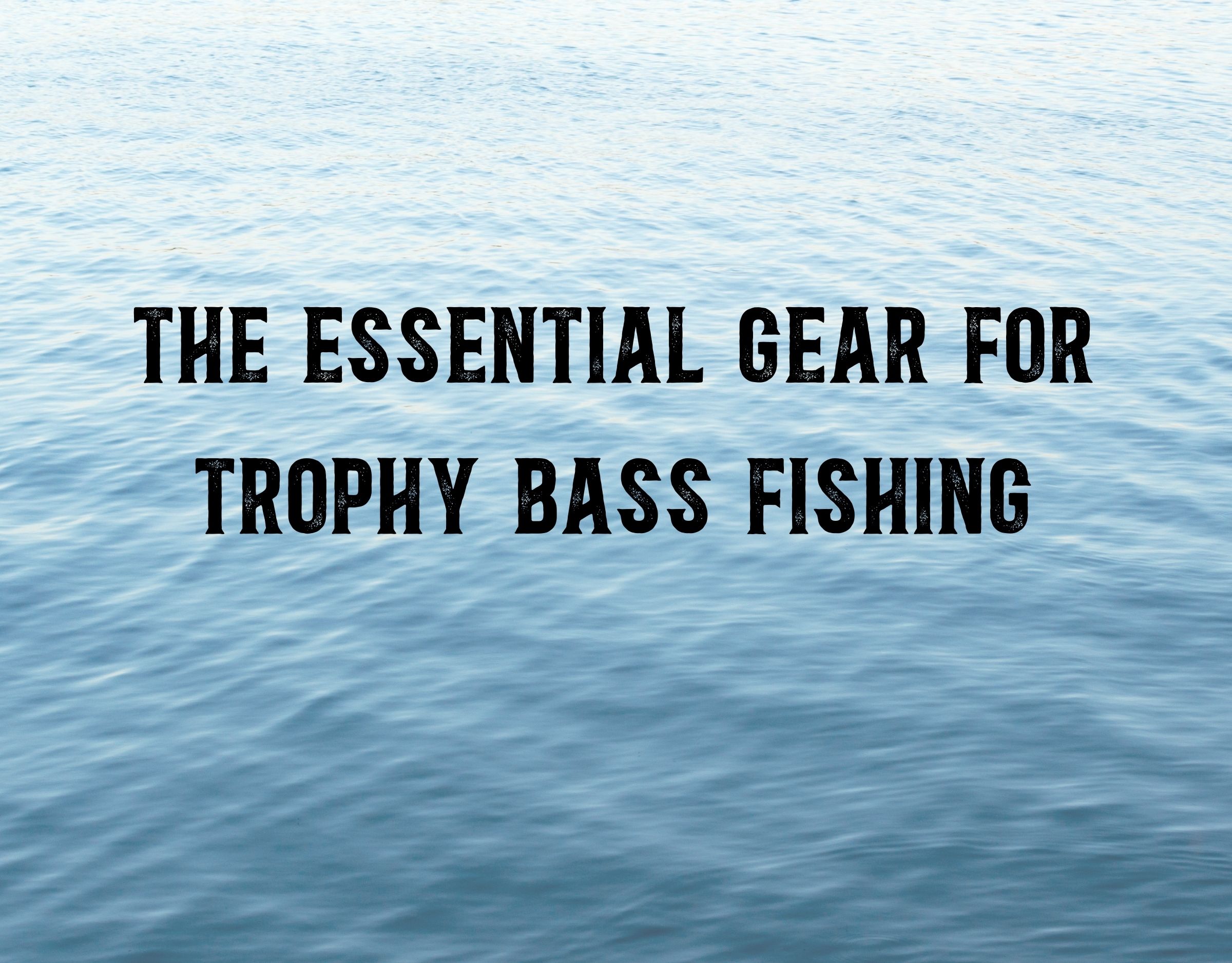 The Role of Nutrition in Survival Situations