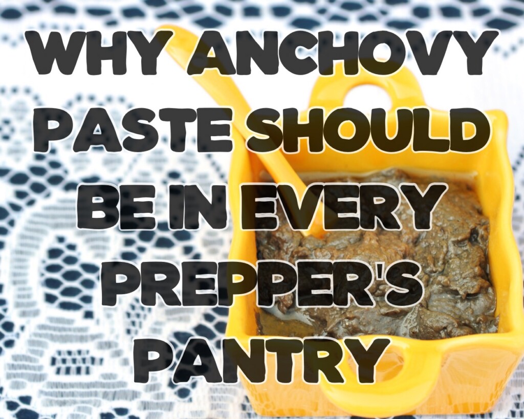 The Culinary Secret for Survivalists: Why Anchovy Paste Should Be in Every Prepper&#8217;s Pantry