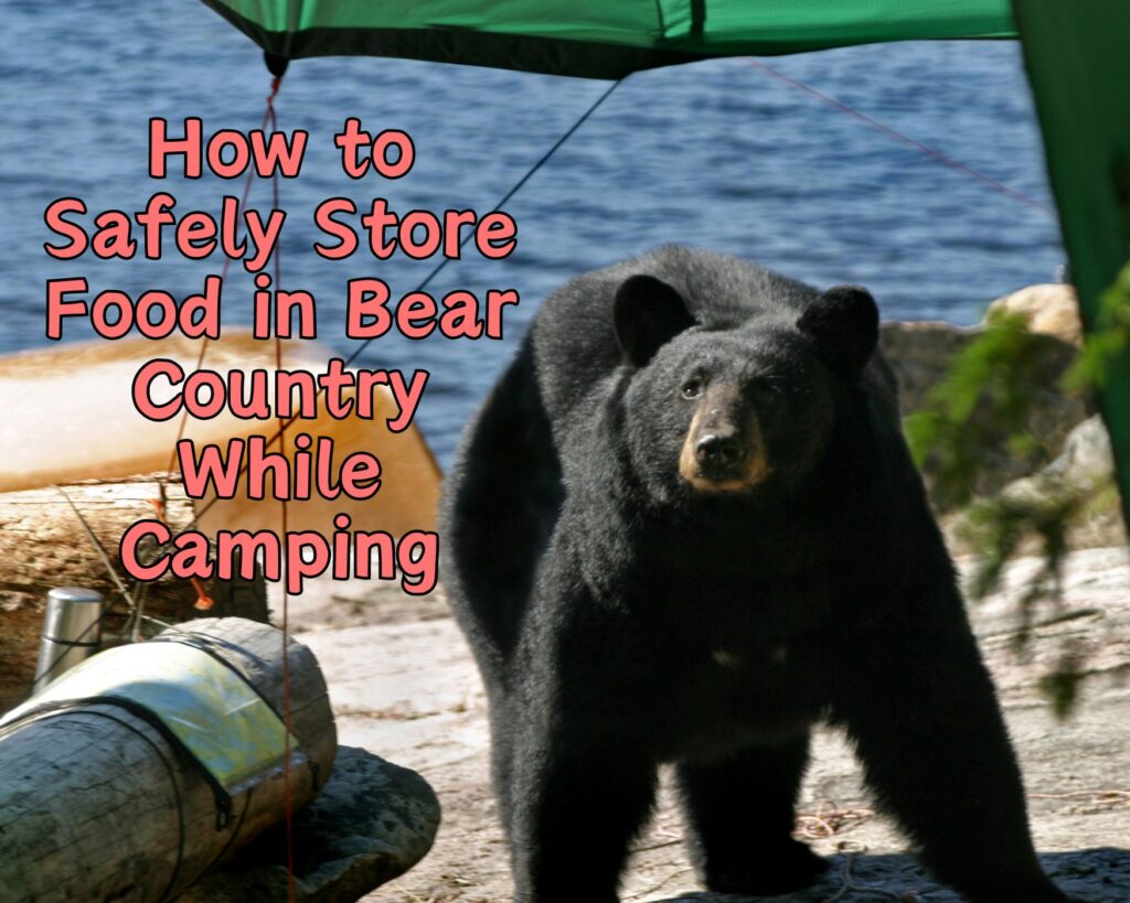 How to Safely Store Food in Bear Country While Camping