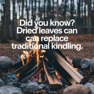 How to Start a Fire Without Kindling: Proven Tips and Tricks