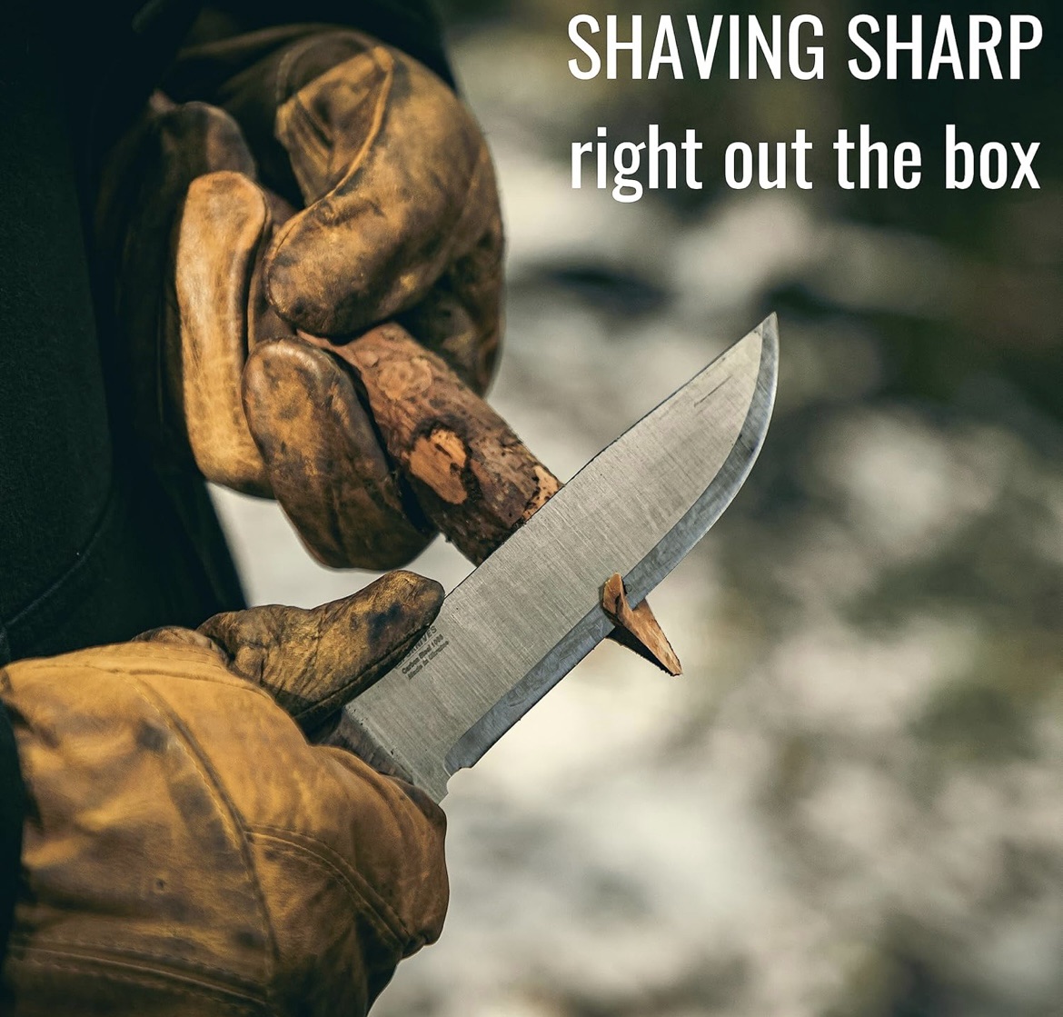 The Enchanted Campfire: Nature’s Light Show with Colorful Flames