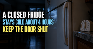 How Long Will My Fridge Stay Cold Without Power?